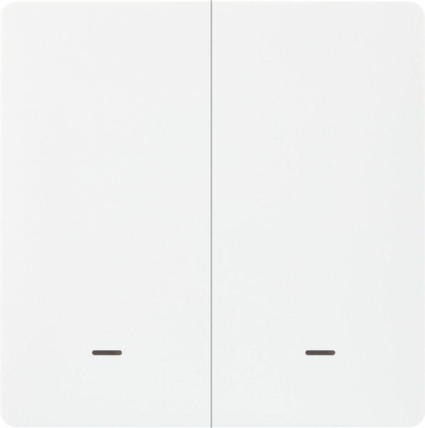 Изображение товара Умный выключатель Hommyn Zigbee SWZBNN02W