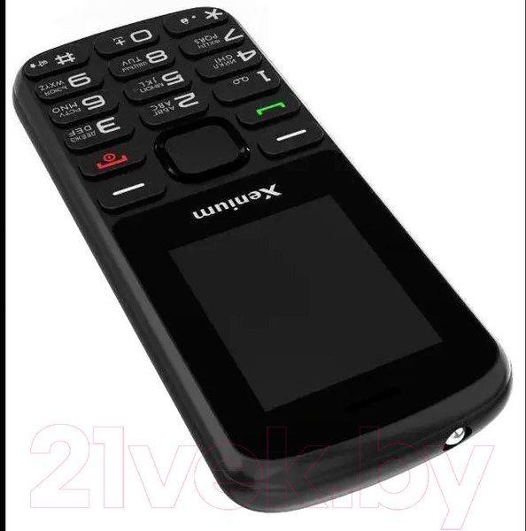 Изображение товара Мобильный телефон Xenium X170 / CTX170BK/00 (черный)