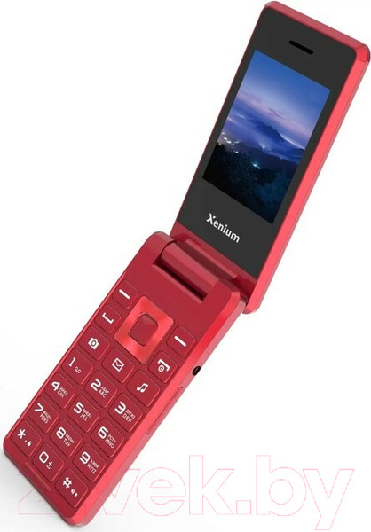 Изображение товара Мобильный телефон Xenium X600 / CTX600RD/00 (красный)