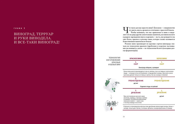 Изображение товара Книга Альпина Винология, твердая обложка (Щекин Владимир)