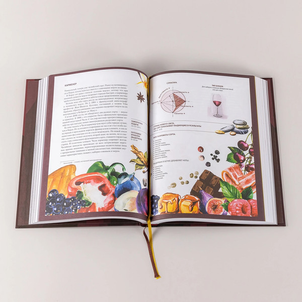 Изображение товара Книга Альпина Винология, твердая обложка (Щекин Владимир)