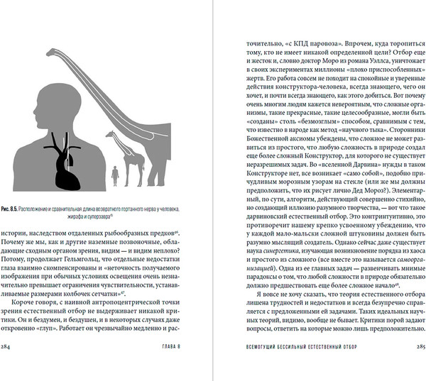 Изображение товара Книга Альпина Мертвый лев: Посмертная биография Дарвина и его идей (Винарский Максим)