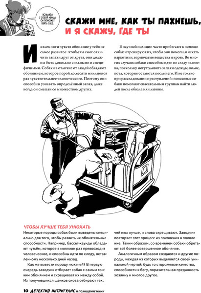 Изображение товара Художественная книга Питер Детектив Интригулис и похищение Мими твердая обложка (Депино Амайча, Лотерштейн Илеа)