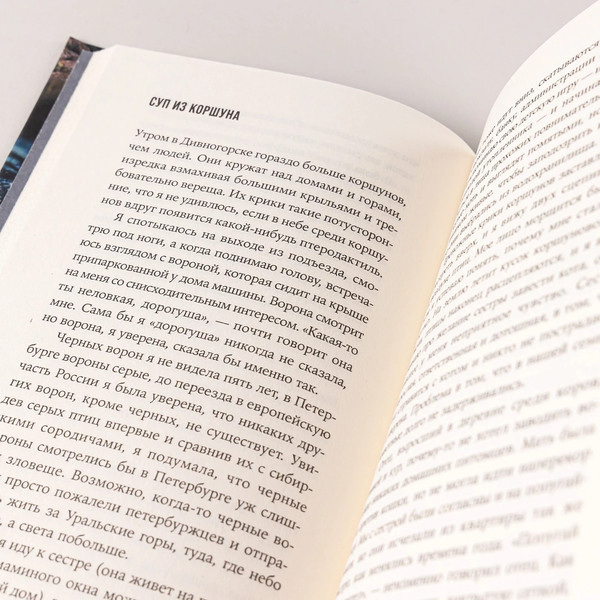 Изображение товара Книга Альпина Под рекой твердая обложка (Демишкевич Ася)