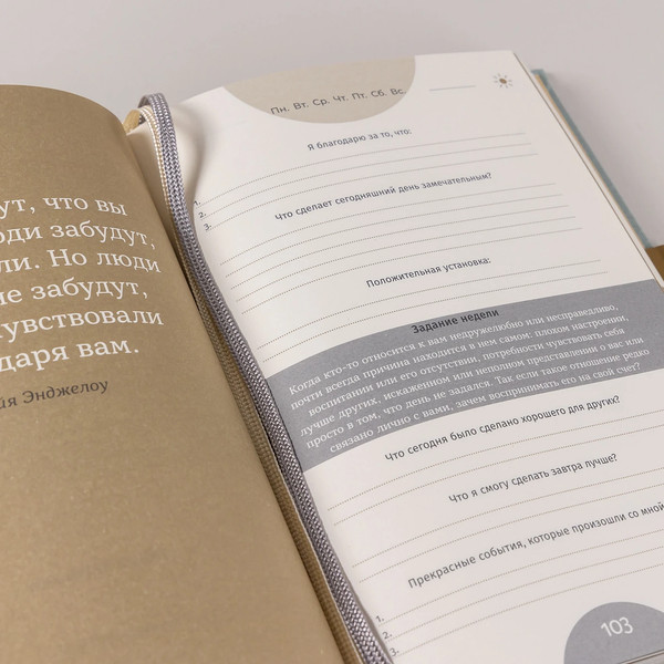 Изображение товара Мотивационный ежедневник Альпина 6 минут Pure / 9785961495744 (Спенст Доминик)