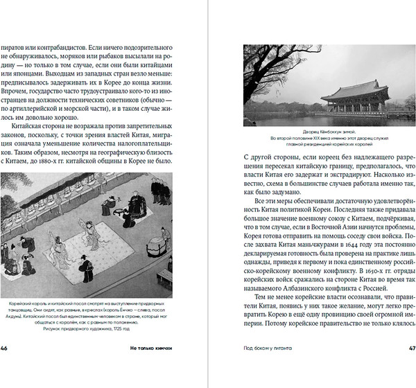 Изображение товара Книга Альпина Не только кимчхи, твердая обложка (Ланьков Андрей)