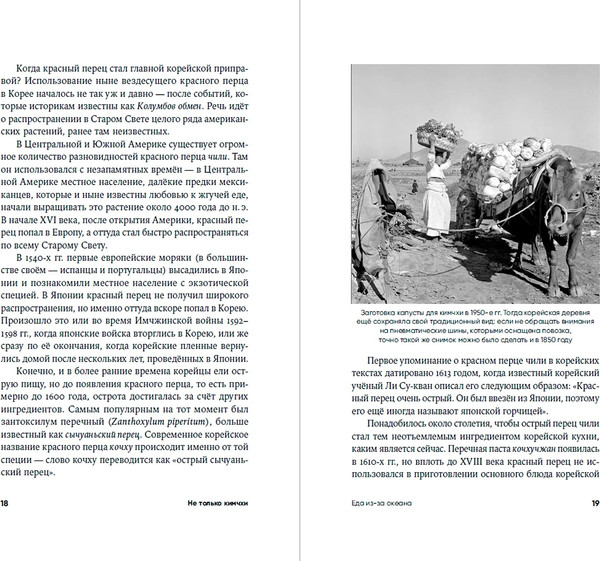 Изображение товара Книга Альпина Не только кимчхи, твердая обложка (Ланьков Андрей)