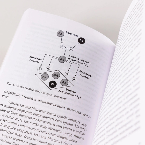 Изображение товара Книга Альпина 30 нобелевских премий, мягкая обложка (Шестова Ольга, Иноземцев Лев)