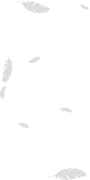 Изображение товара Книга Черным-бело Шолох. Тень разрастается, мягкая обложка (Крейн Антонина)