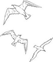 Изображение товара Книга Like Book Буря твердая обложка (Кузнецова Зина)