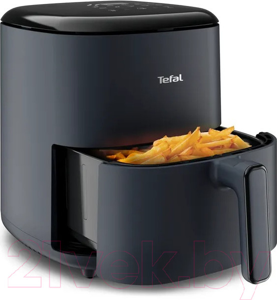 Изображение товара Аэрогриль Tefal EY245B10