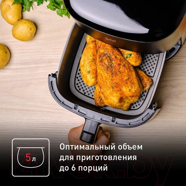 Изображение товара Аэрогриль Tefal EY245B10