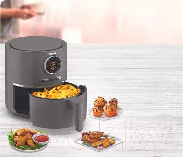 Изображение товара Аэрогриль Tefal EY111B15
