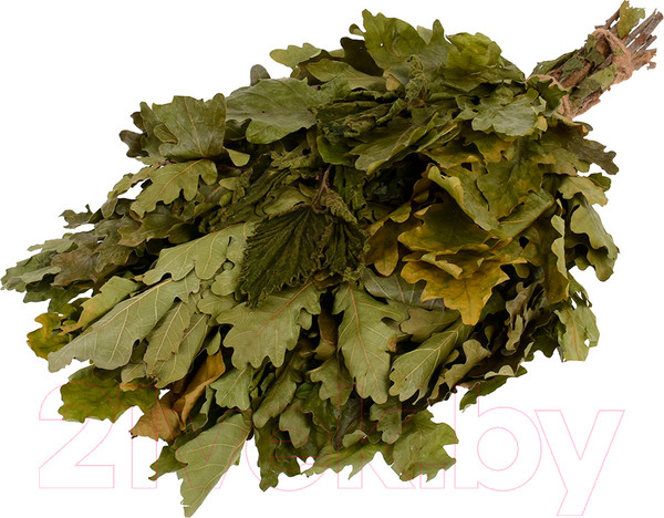 Изображение товара Банный веник Банные Штучки 32011