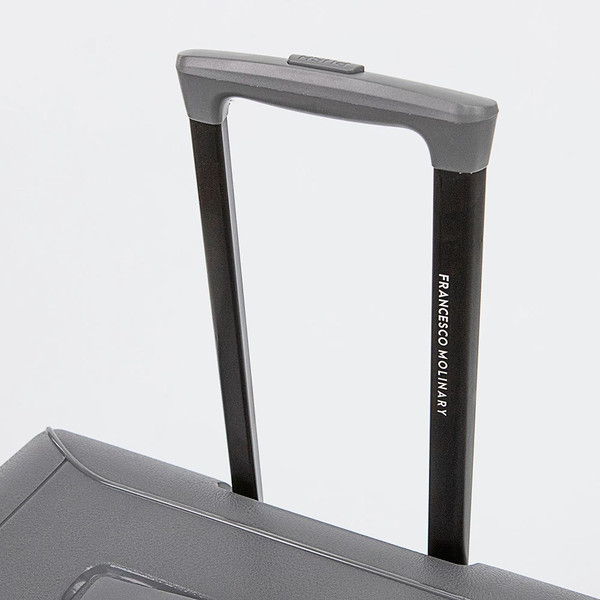 Изображение товара Чемодан на колесах Francesco Molinary 338-2701/2-24DGR (темно-серый)