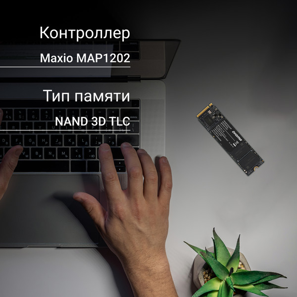 Изображение товара SSD диск Digma Mega M2 M.2 2280 2TB DGSM3002TM23T