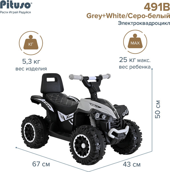 Изображение товара Детский квадроцикл Pituso 3750491B (серый)