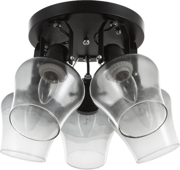 Изображение товара Люстра BayerLux Илария 9113087 (черный)