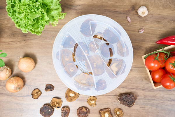 Изображение товара Сушилка для овощей и фруктов Zelmer ZFD2020