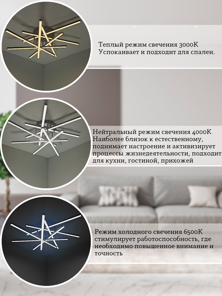 Изображение товара Потолочный светильник Mirastyle XL-60123/7B SWT