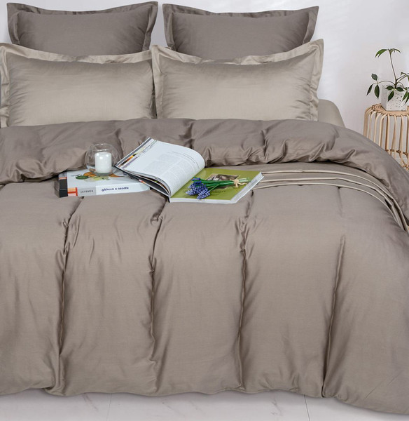 Изображение товара Простыня АртПостель Бронза 809_гк (240x220)