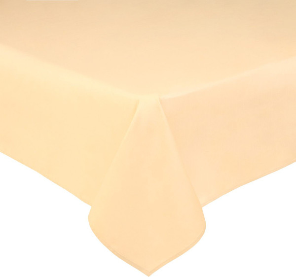 Изображение товара Простыня АртПостель Шампань 807_гк (200x220)