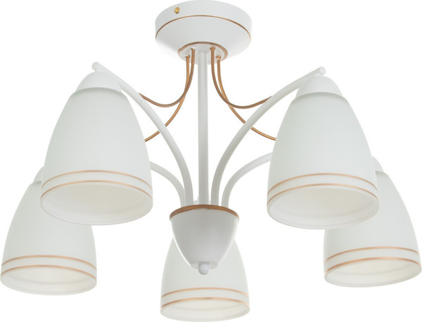 Изображение товара Люстра BayerLux Фрэнликс 9215116 (белый)