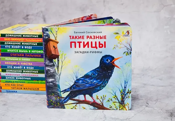 Изображение товара Развивающая книга Робинс Книжки-картонки. Загадки-рифмы. Такие разные птицы