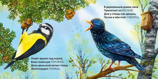 Изображение товара Развивающая книга Робинс Книжки-картонки. Загадки-рифмы. Такие разные птицы