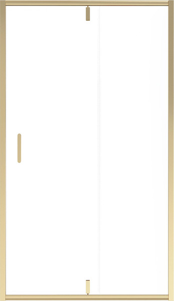 Изображение товара Душевая дверь Niagara NG-43-12AG 120х195