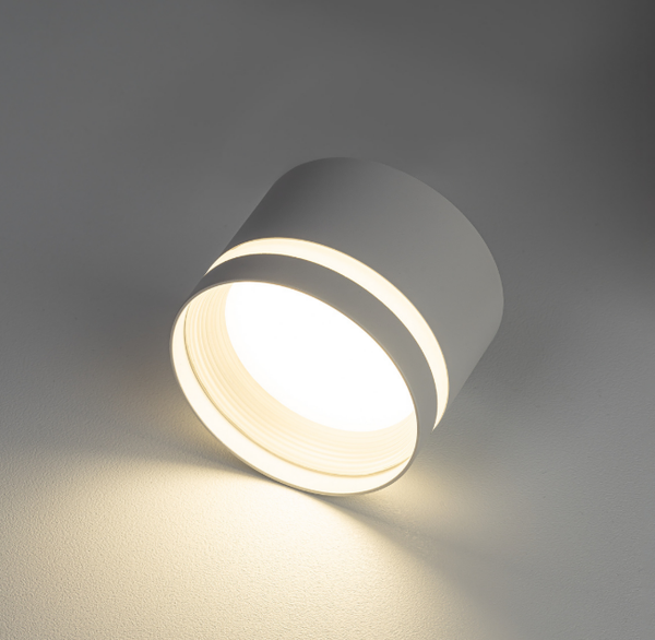 Изображение товара Точечный светильник Citilux Hardy CL002C10