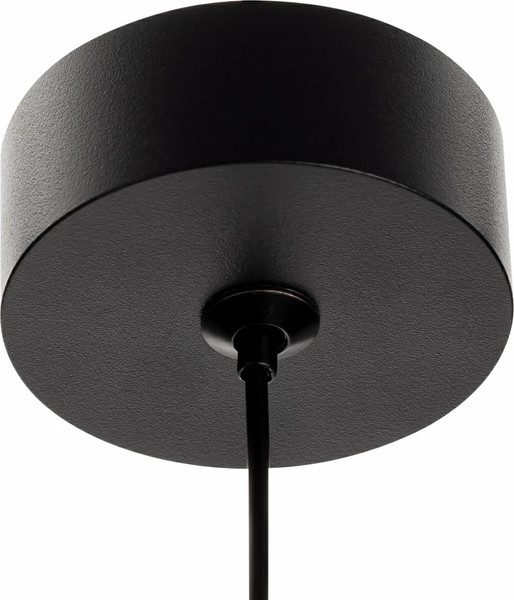 Изображение товара Потолочный светильник Citilux Hardy CL002P11