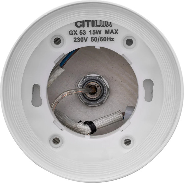 Изображение товара Потолочный светильник Citilux Hardy CL002P10