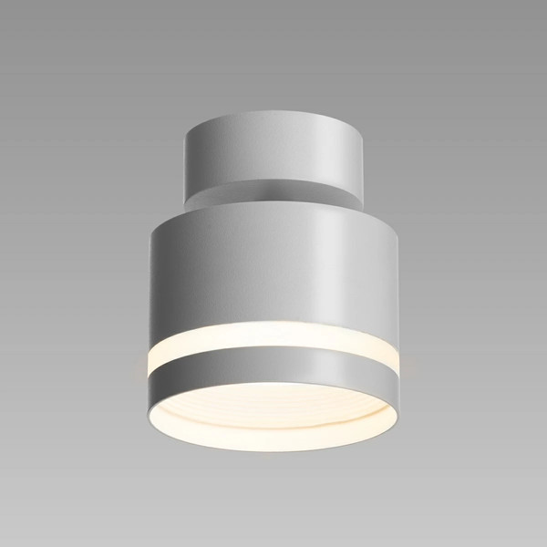 Изображение товара Потолочный светильник Citilux Hardy CL002P10