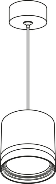 Изображение товара Потолочный светильник Citilux Hardy CL002P10