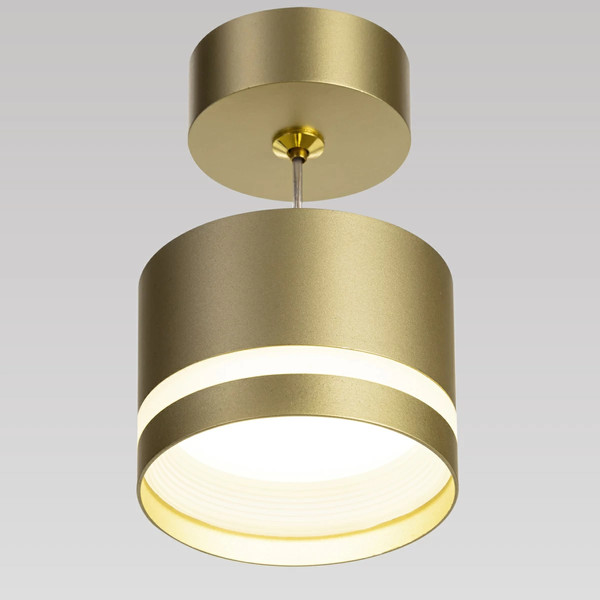 Изображение товара Потолочный светильник Citilux Hardy CL002P12