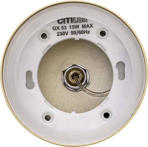 Изображение товара Потолочный светильник Citilux Hardy CL002P12