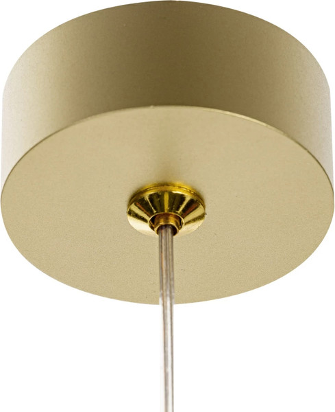 Изображение товара Потолочный светильник Citilux Hardy CL002P12