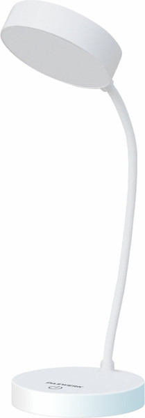 Изображение товара Настольная лампа Daswerk 237990