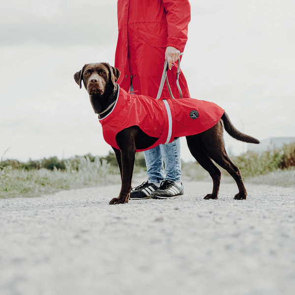 Изображение товара Дождевик для животных HUNTER Coat Uppsala Rain 55 / 66252 (красный)