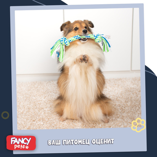 Изображение товара Игрушка для собак Fancy Pets Канат / FPKNT01