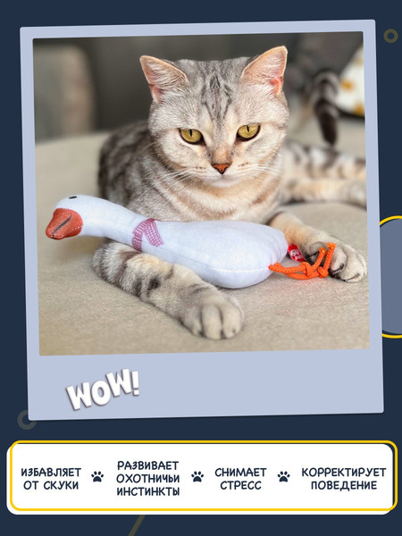 Изображение товара Игрушка для кошек Fancy Pets Гусь / FPS30