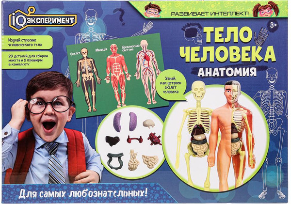 Изображение товара Научная игра IQ Эксперимент Анатомия Тело человека / A365-H24039-RU