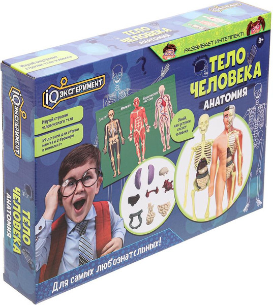 Изображение товара Научная игра IQ Эксперимент Анатомия Тело человека / A365-H24039-RU