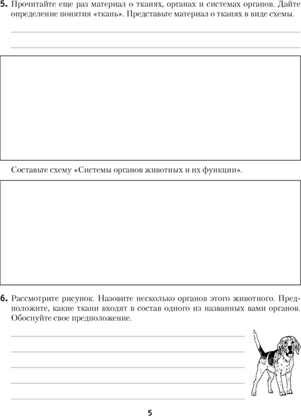 Изображение товара Рабочая тетрадь Аверсэв Биология. 8 класс. 2024, мягкая обложка (Лисов Николай)