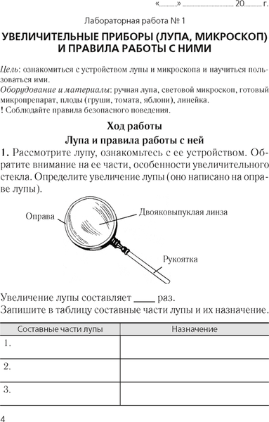 Изображение товара Рабочая тетрадь Аверсэв Биология. 6 класс. 2024, мягкая обложка (Лисов Николай)