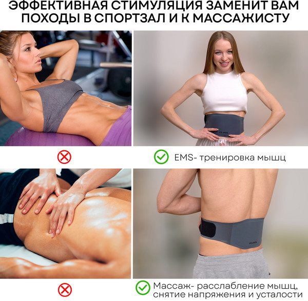 Изображение товара Миостимулятор PLANTA EMS-600