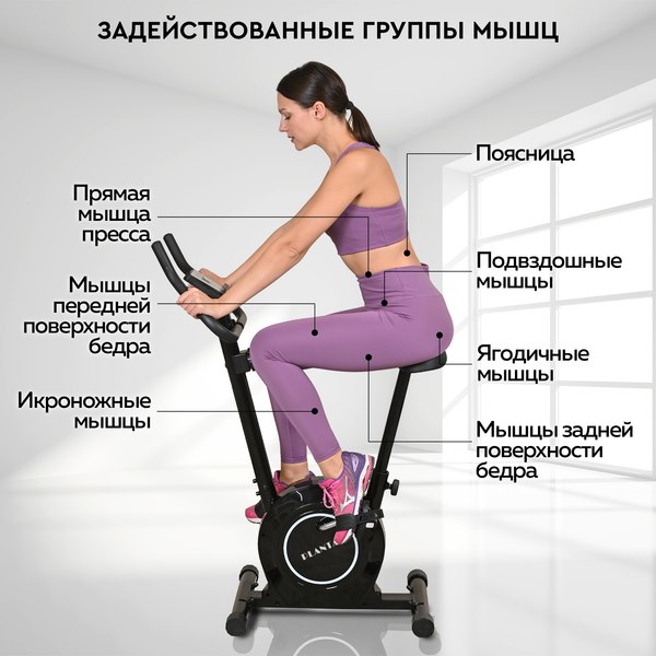 Изображение товара Велотренажер PLANTA FD-BIKE-100