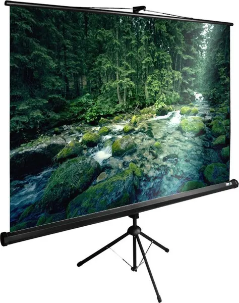 Изображение товара Проекционный экран Cactus CS-PSTE-220X165-BK