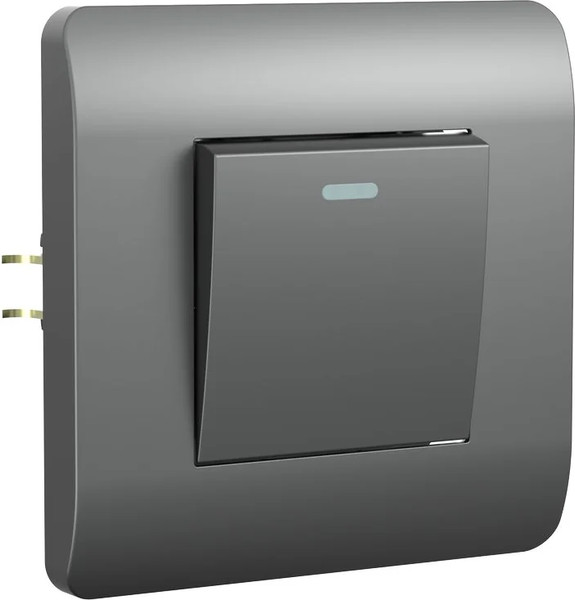 Изображение товара Выключатель Chint NEW3-E 10А / 431393 (серебристый)